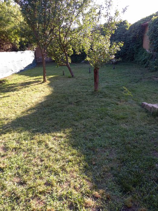 Косене ,почистване и поддържане на дворове ,лозя,ливади ,райгас