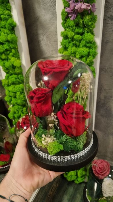 Trandafiri criogenați