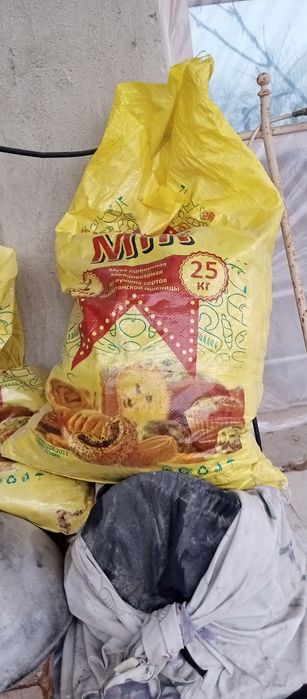 Mol uchun ut sorgo beda maysa