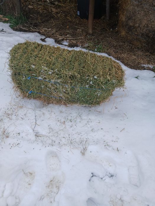 Vand balotii de lucerna