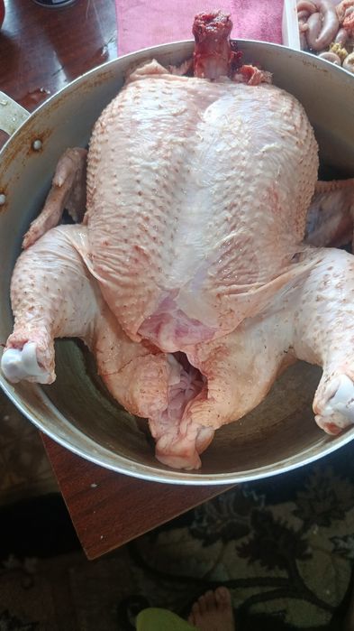 Домашний бролер.мясо