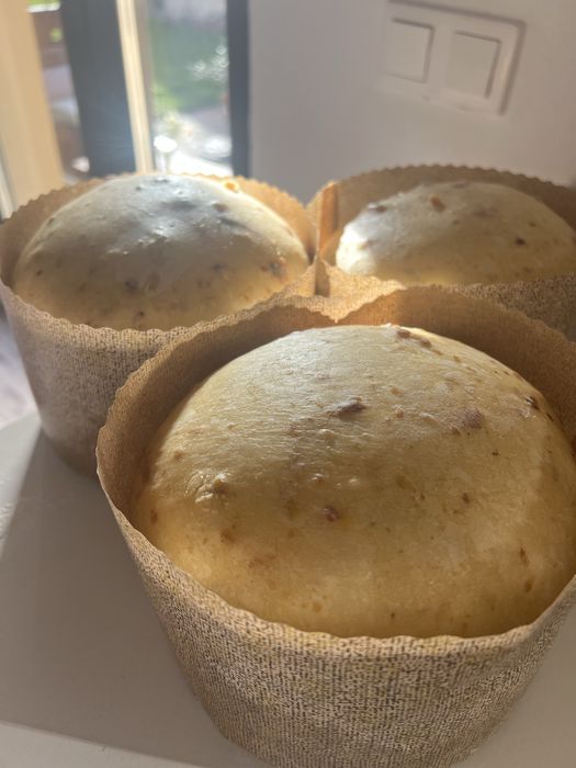 Panettone/ Bread starter powder