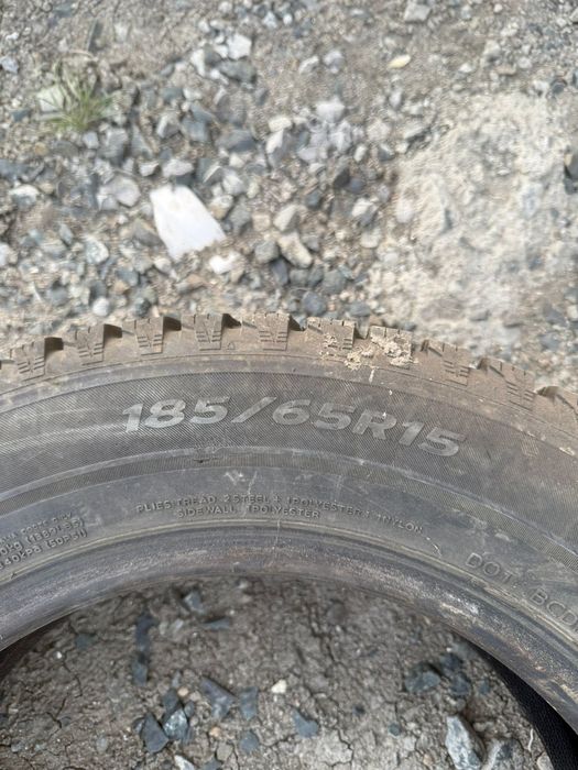 Шины кыскы донгелекк