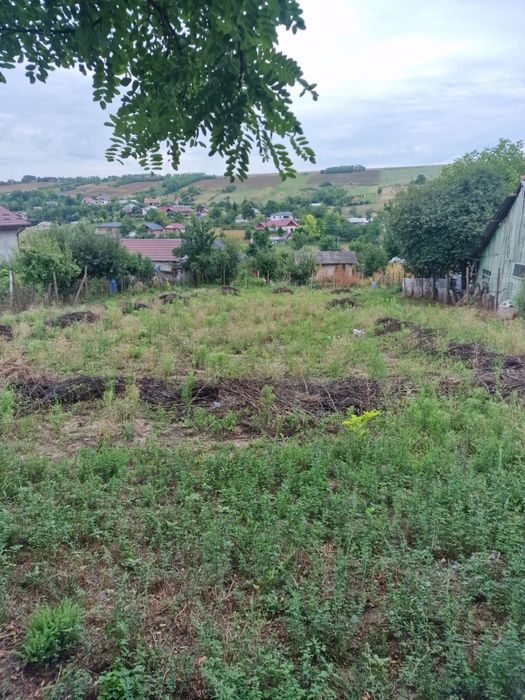 Vand teren de vanzare Vânatori