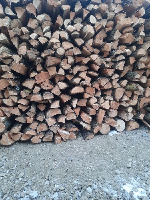 Vând lemne foc - salcie