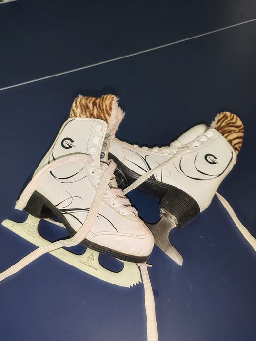 Patine gheata 28