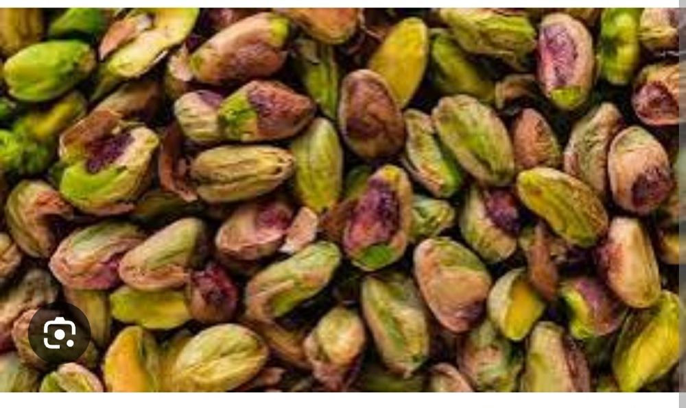 Chaqilgan xandon pista