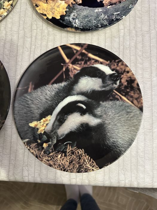 Декоративни порцеланови чинии – лимитирана серия