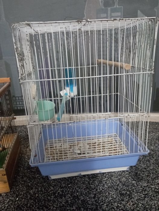 Кафас клетка. Сотилади.