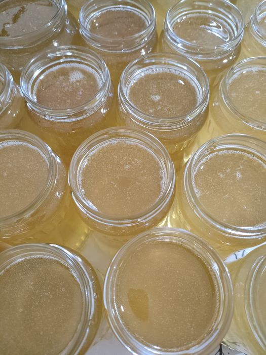 Miere poliflora, rapiță