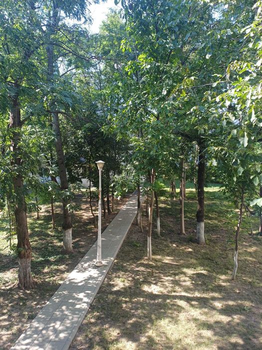 Proprietar/ persoană fizică – Apartament 3 camere, etaj 1 , Splai Bahlui Mal Drept