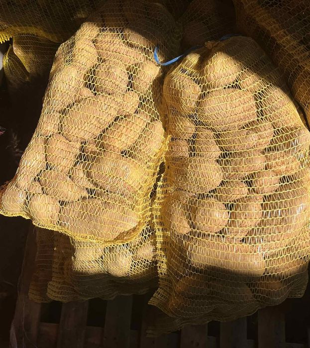 Картофи гр.Смолян