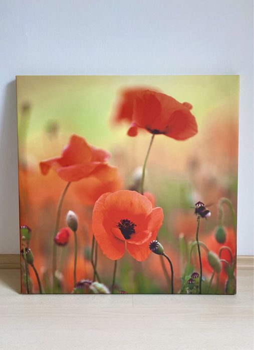 Tablou cu maci pe pânză