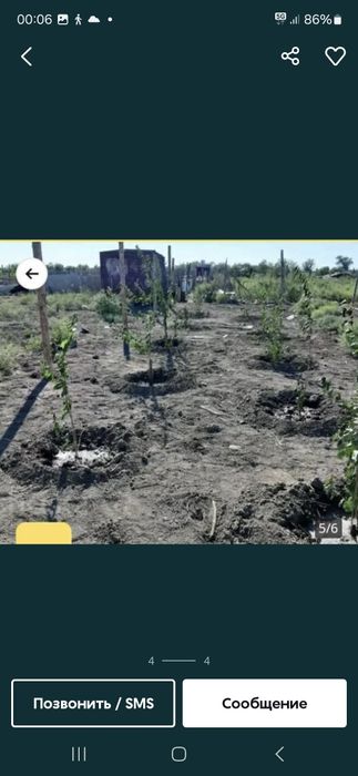 Дачный участок. Земля