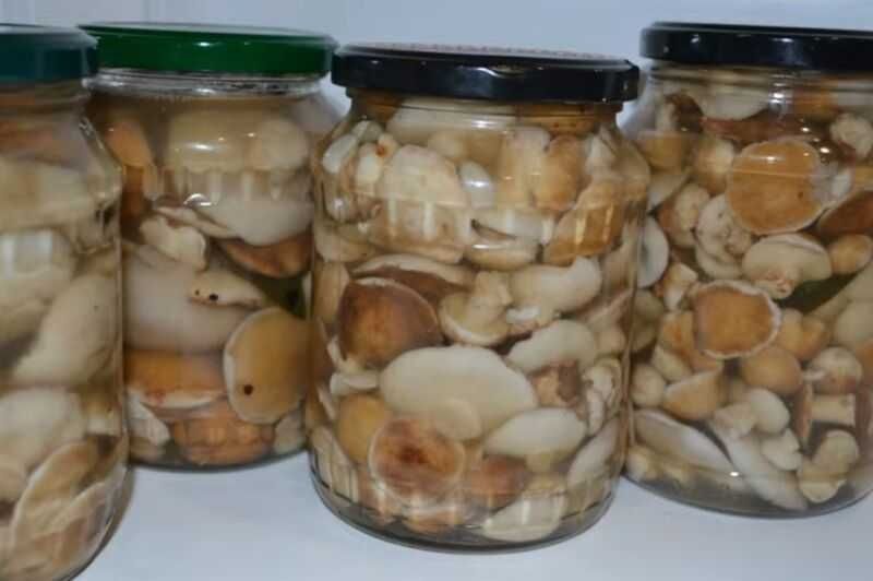 Маслята в банке фото Маслята в банке фото