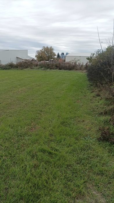 Дава се под наем Парцел в с. Пчелник, Област Варна - 850 кв.м за 15000 € - Снимка #3