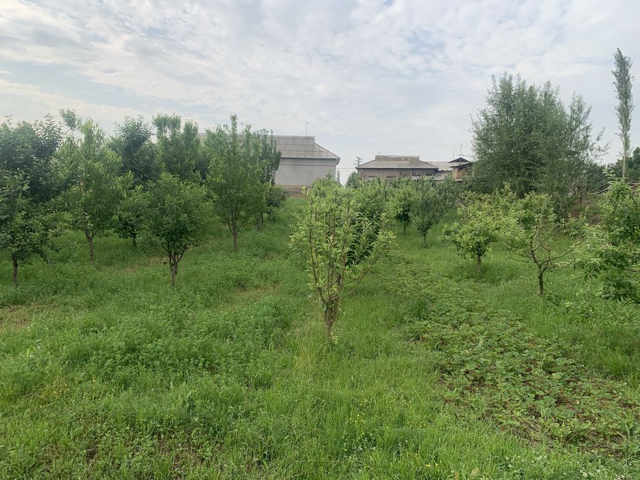 Uchastka sotiladi quruq yeri uzi bog kol dalalar bor