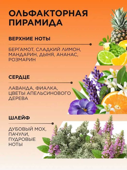 Uomo Felice parfyumi — Erkaklar uchun ajoyib sovg'a!