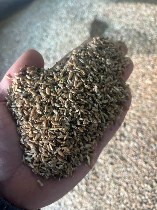 Отходы Отруби Зерноотходы Корма