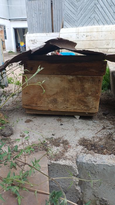 Будка для собаки