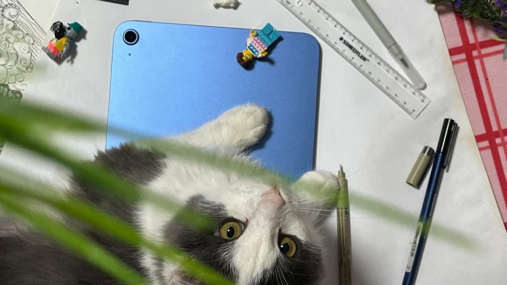 Ipad a16 год 2025  Айпад а16