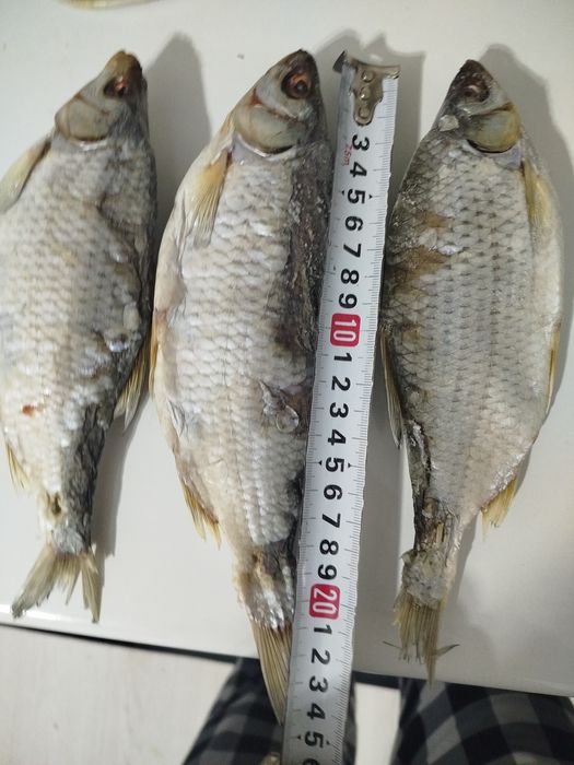 Рыба сушенная свежак