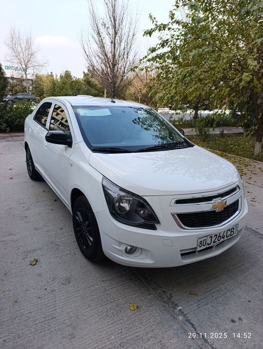 Собалт мигнайт 2025 состояние отличное