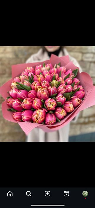 ОПТОМ Голландтық ірі тюльпандар / тюльпаны / цветы / оптм