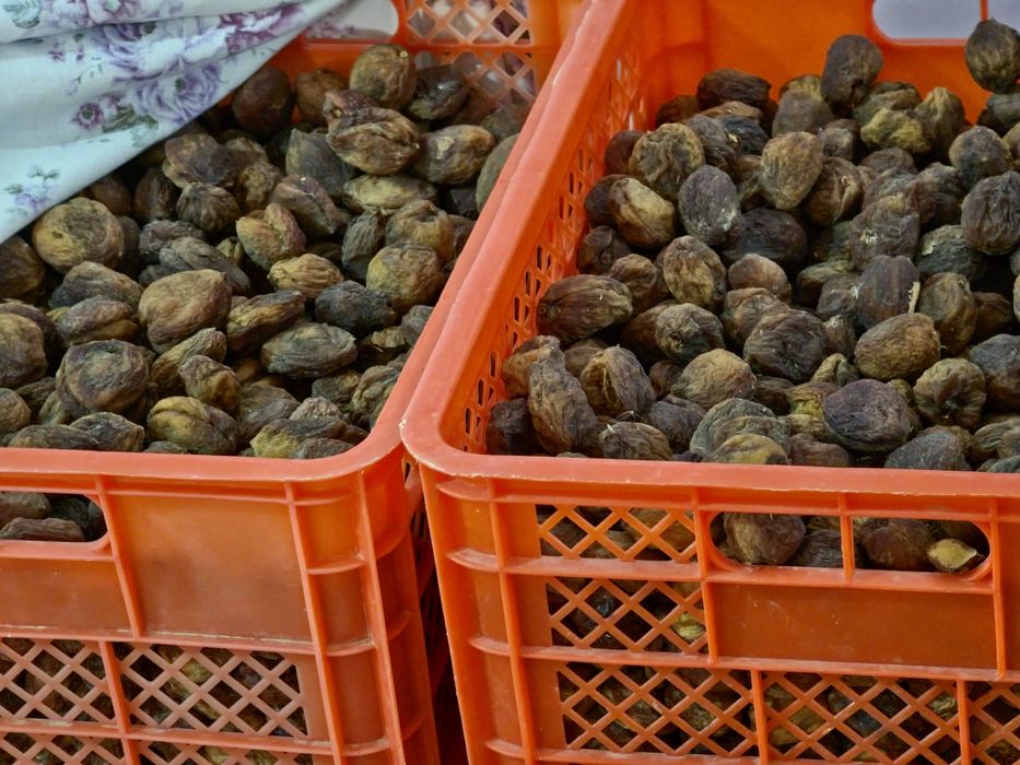 Nafsga moyil, uzun oyoqli godak yigitining katta qora xoroziga minadi.