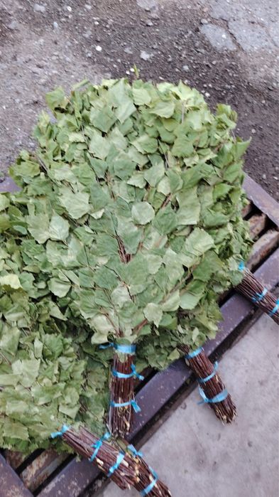 Продаю веники для бани