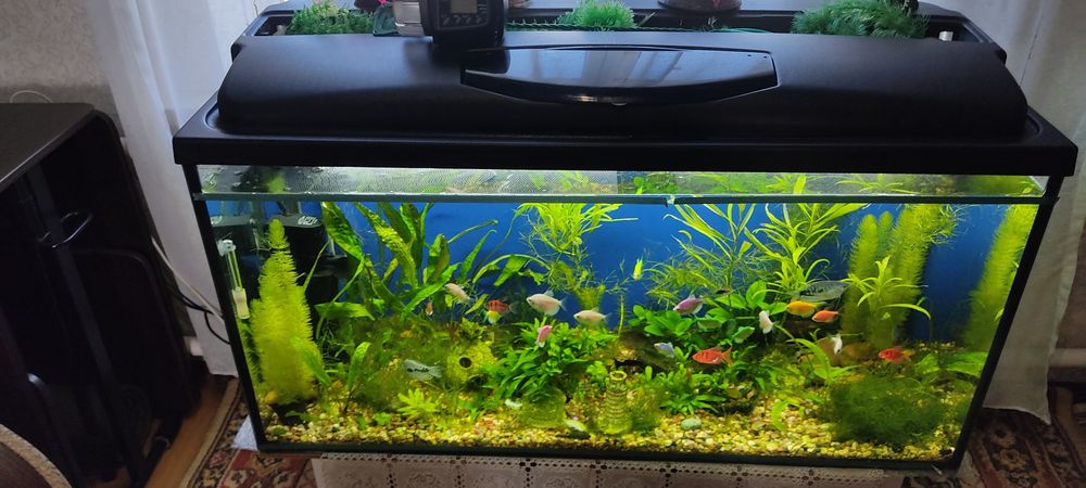 Продам Аквариум на 200литров