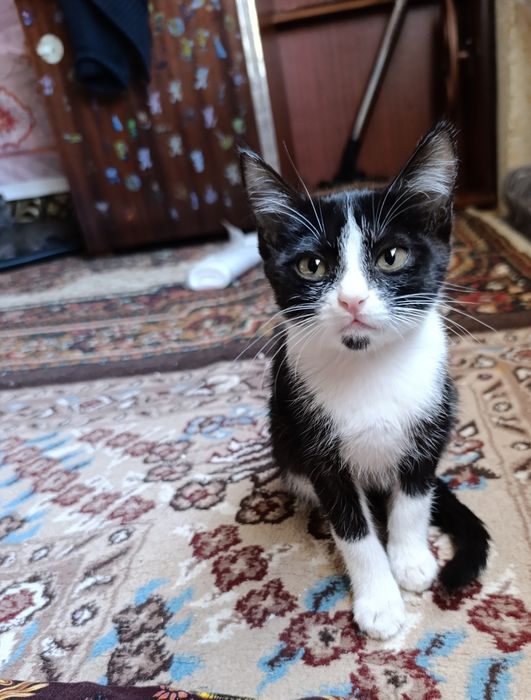 Hadyaga yaxshi qaraydigan insonlarga