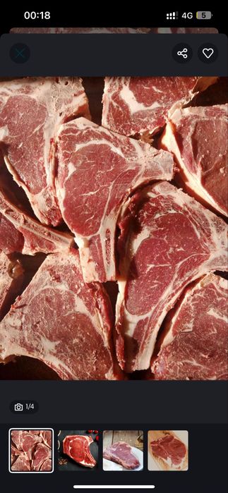 Тибон,Рибай,Бон филе