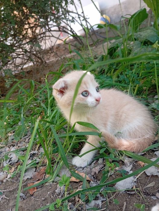 Mushugcha lar zotdorMushugcha lar zotdorMushugcha lar zotdorMushugcha