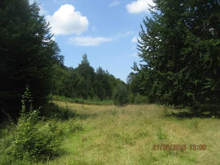 Продавам 10,2 дка гори в Априлци – 12 000 €