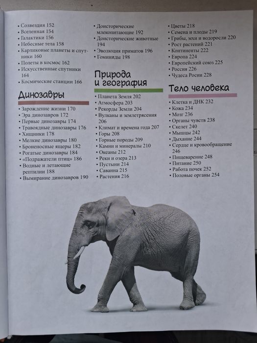 Энциклопедия для детей