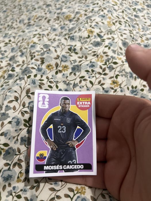 Extra sticker world cup 2026