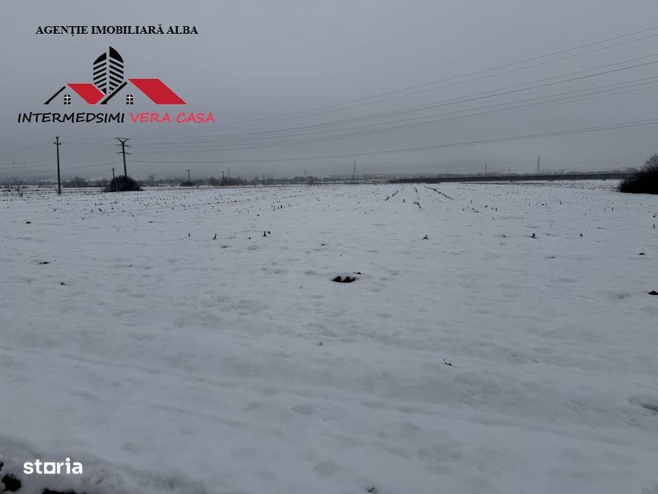 Teren intravilan 3900 mp de vanzare pe Centura Alba iulia ( konti )