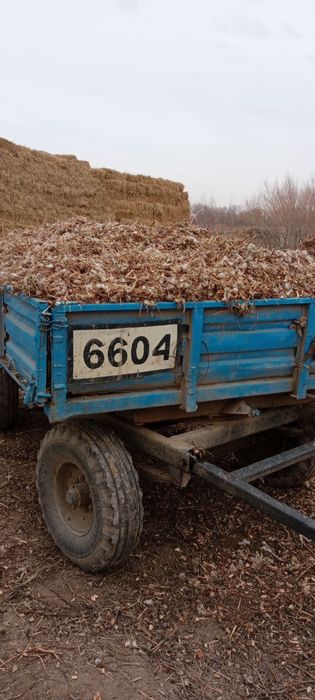 Мал жемге шангалак бар Манзил хожели
