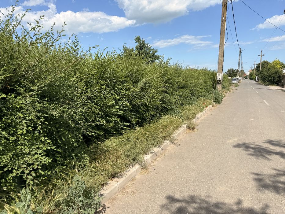 Teren intravilan de vânzare – 4.009 mp – Sălcioara, Comuna Jurilovca, Tulcea