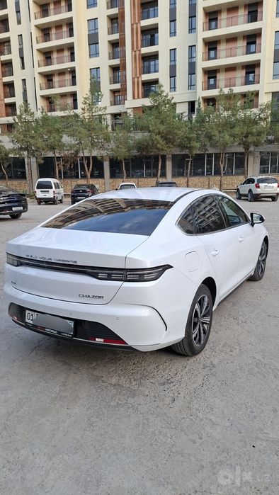Byd Chazor full 1200