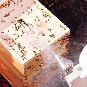 Пушилка за пчели с телешка кожа и неръждаема стомана, мед пчели