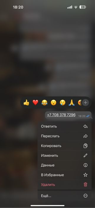 Цветы ,роза 101,свежие