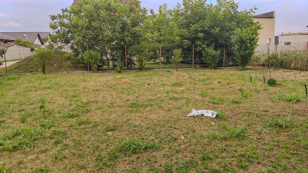 Comuna Berceni - Teren intravilan, împrejmuit, gaz la poarta