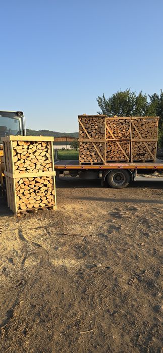 Lemn foc Fag paletizat 800 lei paletu