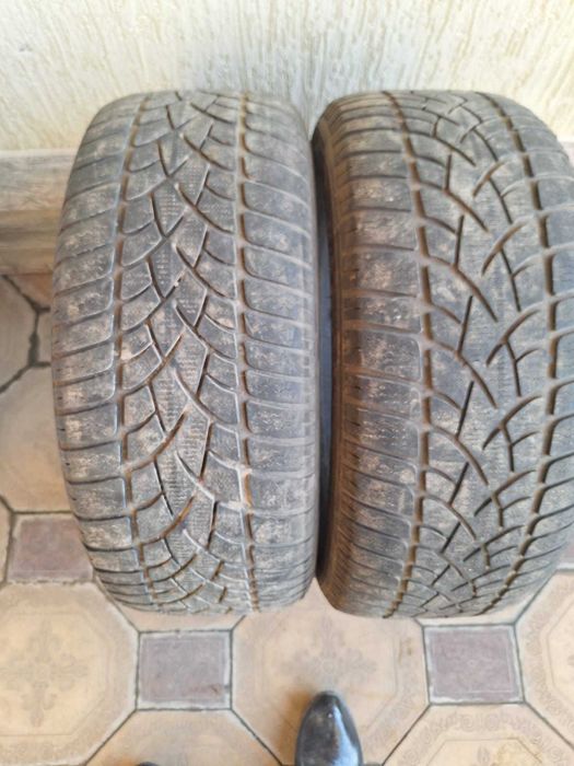 Зимние шины Dunlop