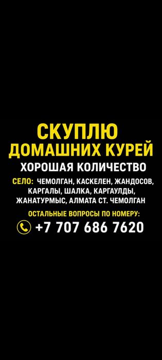 Продам домашние куры