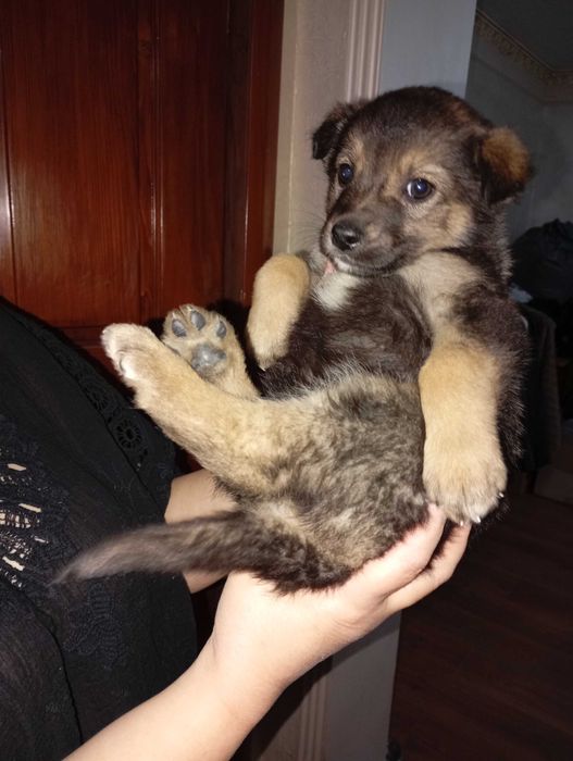 Забери меня, Добрый человек