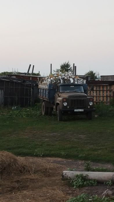 Продам дрова береза