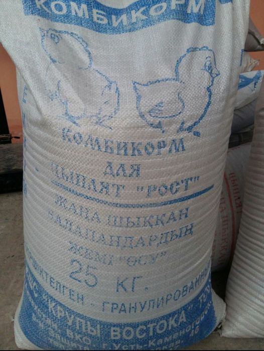 Жанадан шыккан балапандарга